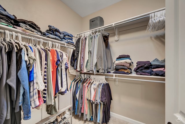 spacious closet with carpet flooring