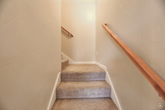 staircase featuring carpet floors