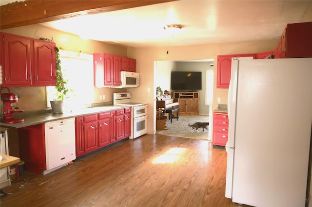 kitchen with white appliances and dark hardwood / wood-style flooring