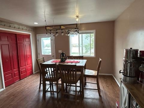 dining room with plenty of natural light and dark hardwood / wood-style flooring