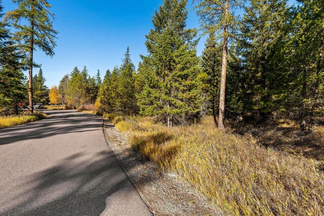 Nhn Bowdrie Trail, Whitefish, MT 59937