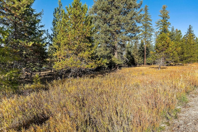 Nhn Bowdrie Trail, Whitefish, MT 59937