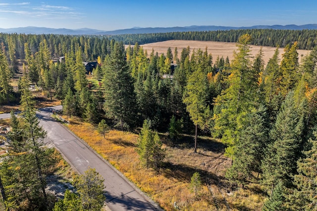 Nhn Bowdrie Trail, Whitefish, MT 59937