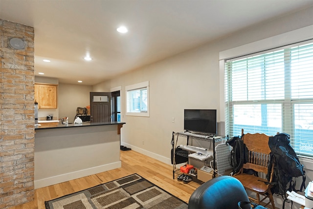 living room with light hardwood / wood-style flooring and a healthy amount of sunlight