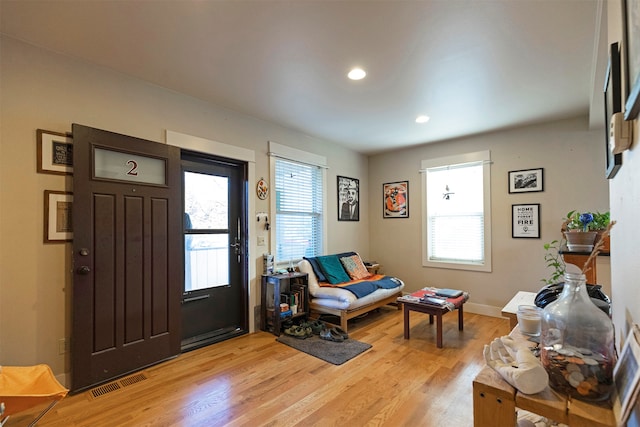 entryway featuring light hardwood / wood-style flooring and plenty of natural light