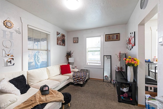 living room with carpet flooring and a textured ceiling