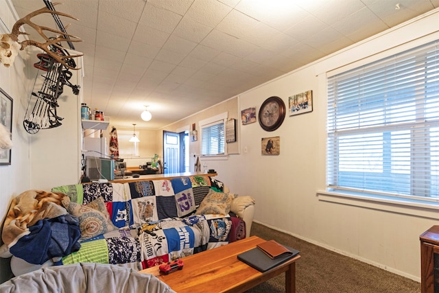 living room with carpet