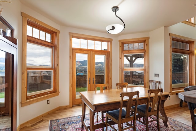 dining area with french doors, a wealth of natural light, and light wood-type flooring