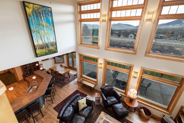 living room featuring hardwood / wood-style flooring and a high ceiling