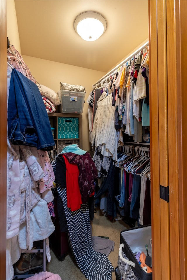 spacious closet with carpet flooring