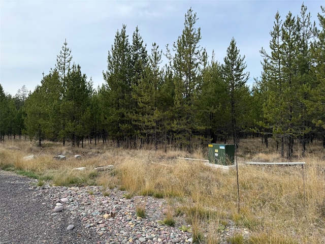 Listing photo 2 for TBD Red Baron Ln, Marion MT 59925