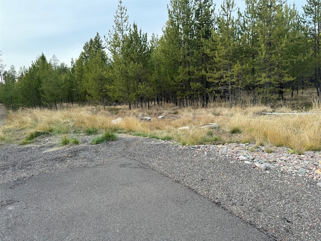 Listing photo 3 for TBD Red Baron Ln, Marion MT 59925