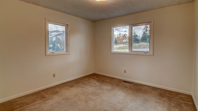 empty room featuring a textured ceiling and carpet flooring