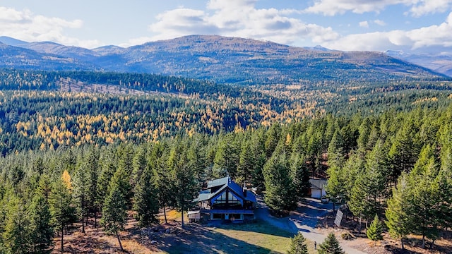 bird's eye view with a mountain view