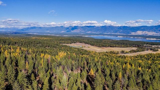 view of mountain feature featuring a water view