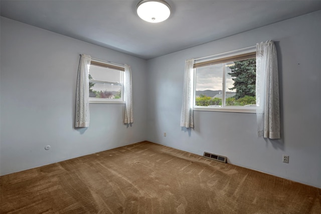 view of carpeted spare room