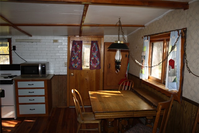 unfurnished dining area featuring wooden walls and dark hardwood / wood-style floors