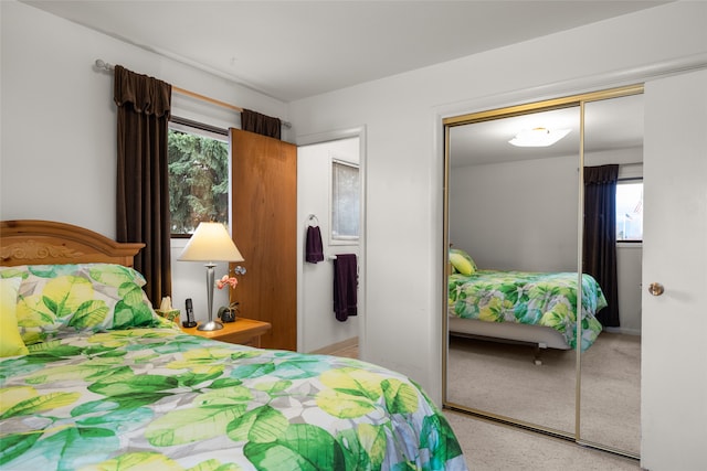 bedroom with a closet, multiple windows, and carpet floors