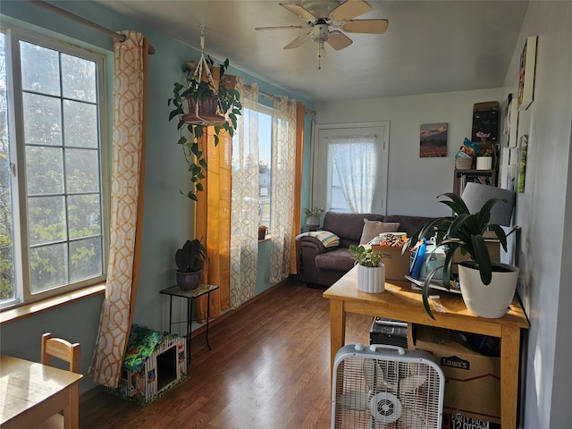 office featuring ceiling fan and dark hardwood / wood-style flooring