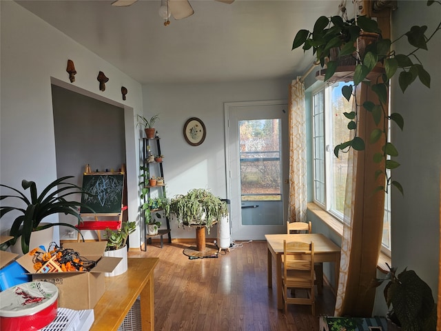 sitting room featuring wood-type flooring and ceiling fan