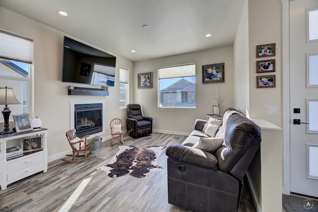 living room featuring light wood-type flooring