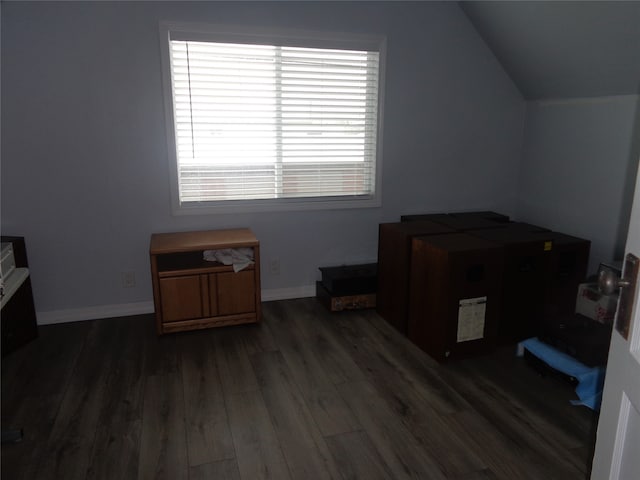 interior space with dark wood-type flooring and lofted ceiling