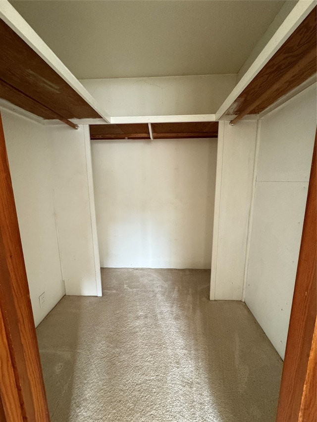 walk in closet with light carpet