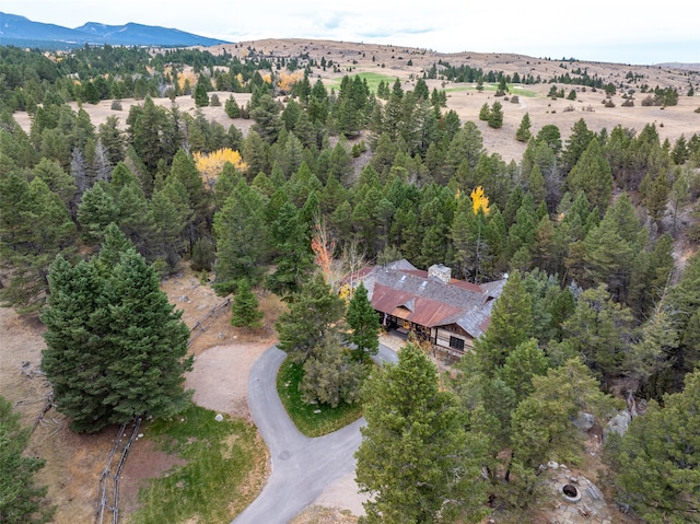 drone / aerial view with a mountain view