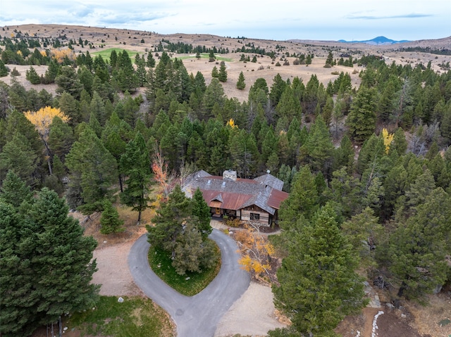 aerial view with a mountain view