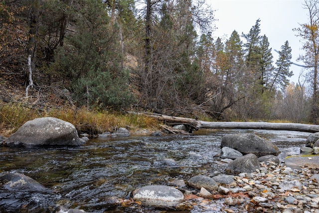 view of local wilderness