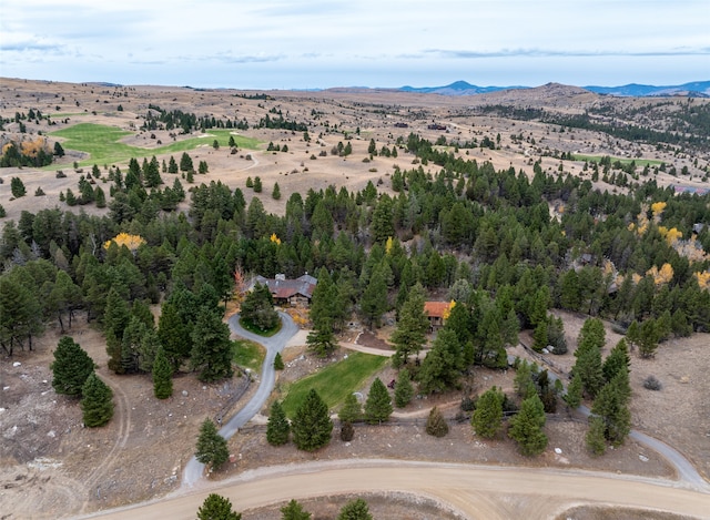 bird's eye view featuring a mountain view