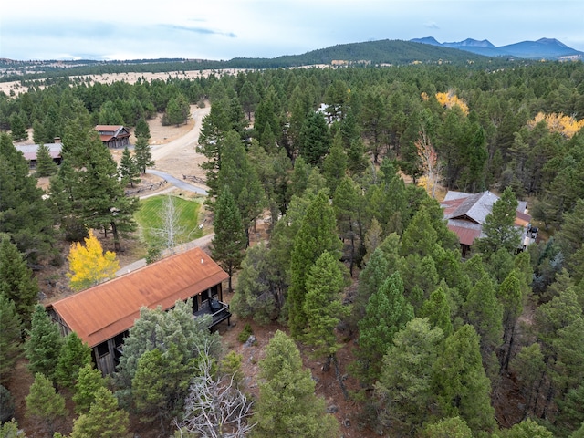 birds eye view of property featuring a mountain view