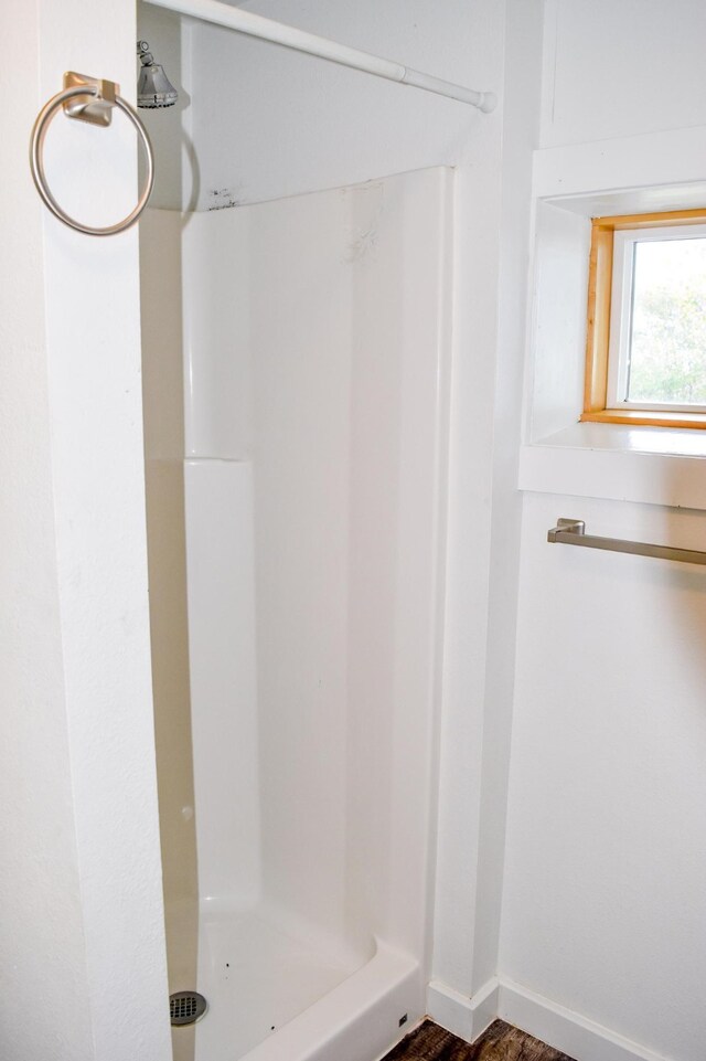 bathroom featuring walk in shower and wood-type flooring