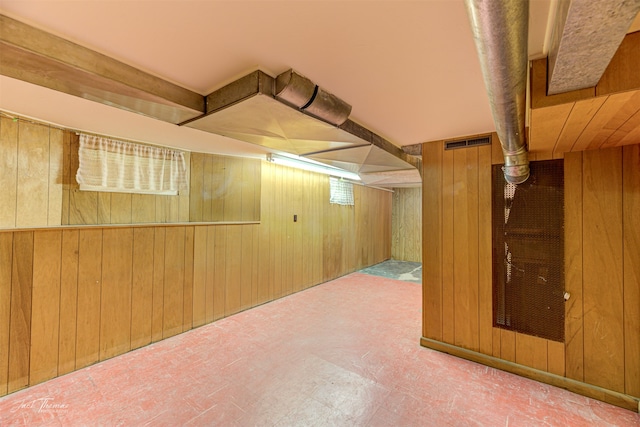 basement with wooden walls