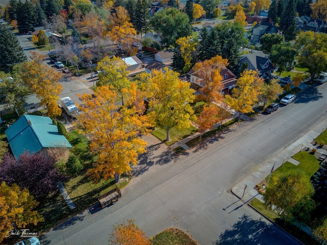 bird's eye view