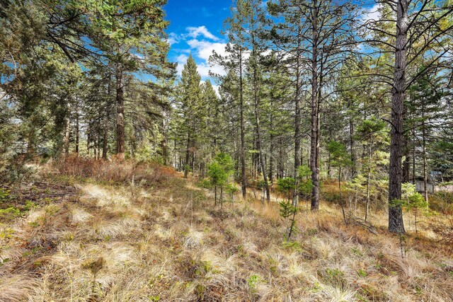 111 Grandview Ter, Lakeside, MT 59922