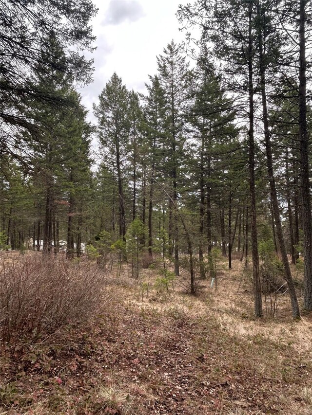 111 Grandview Ter, Lakeside, MT 59922