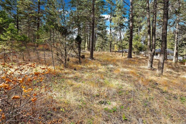 111 Grandview Ter, Lakeside, MT 59922