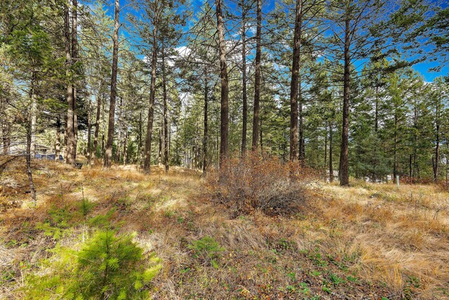 111 Grandview Ter, Lakeside, MT 59922