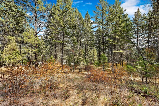 111 Grandview Ter, Lakeside, MT 59922