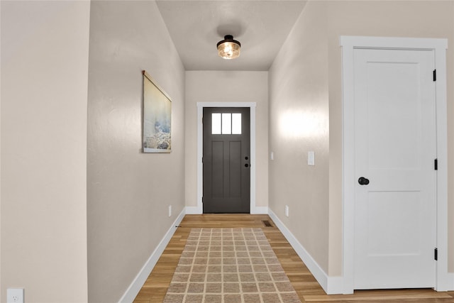 foyer entrance with wood-type flooring