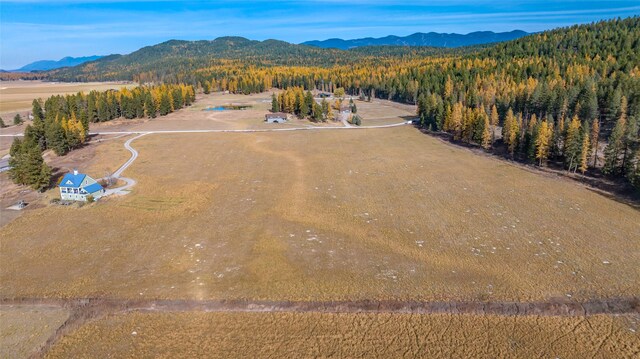 drone / aerial view featuring a mountain view