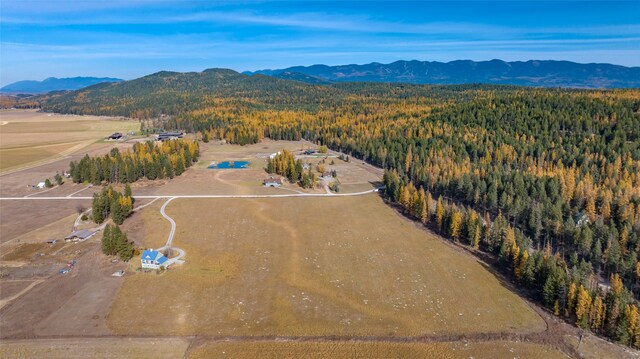 aerial view with a mountain view