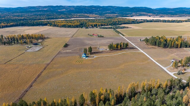 drone / aerial view featuring a mountain view