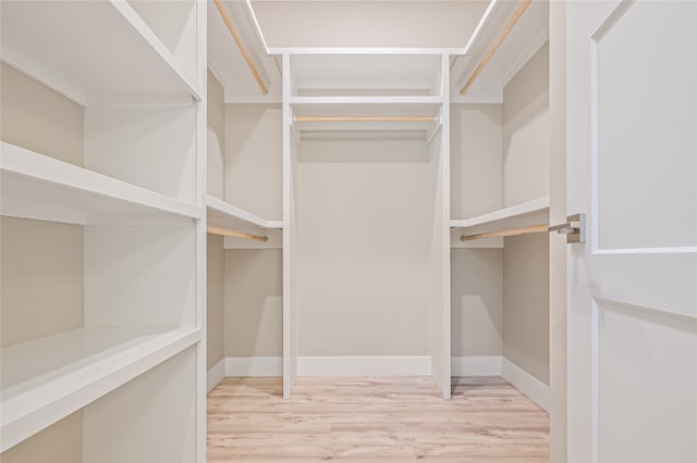 spacious closet featuring light hardwood / wood-style flooring