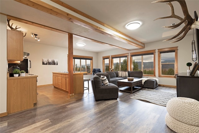 living room featuring light hardwood / wood-style floors and beam ceiling