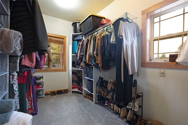 spacious closet featuring carpet