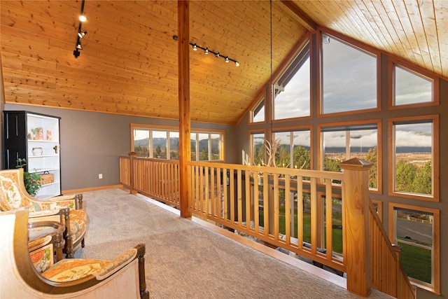 interior space with beam ceiling, high vaulted ceiling, rail lighting, and carpet floors