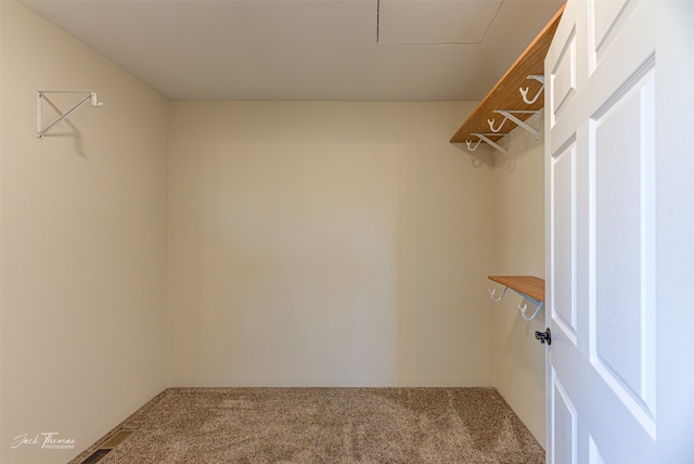 spacious closet featuring carpet floors