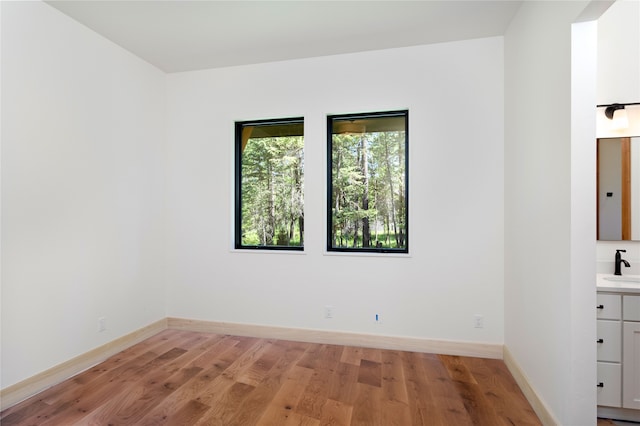 empty room featuring sink and light hardwood / wood-style flooring